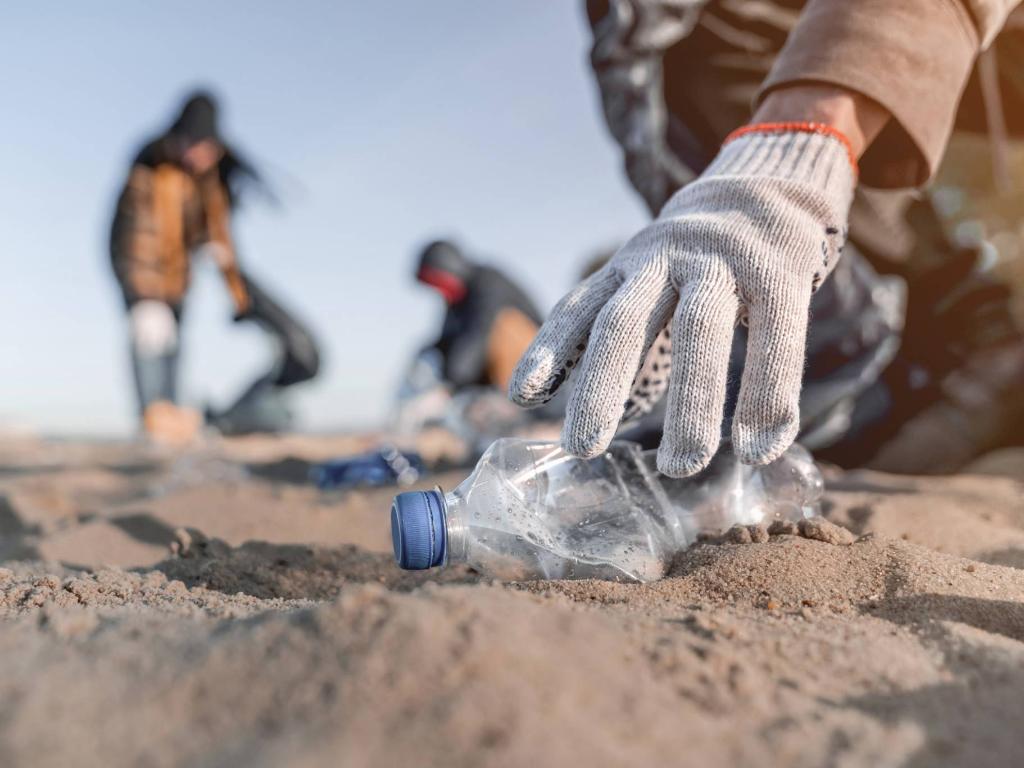 Picture of people collecting plastic waste from the beach.